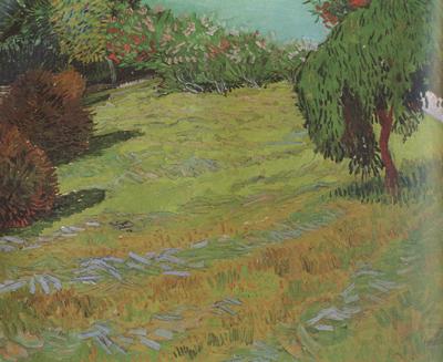 Vincent Van Gogh Sunny Lawn in a Public Pack (nn04) Norge oil painting art